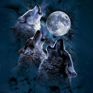 Meet your Posher, Jaqelyn